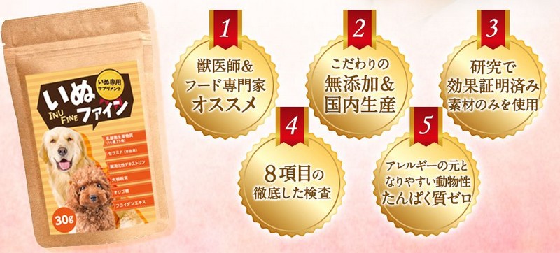 元気&長生き【いぬファイン】情報サイト